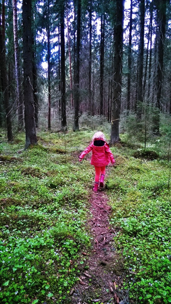 Metsä, luontoon.fi, nature, luonto, vuokramökki
