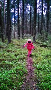 Pieni punanuttu, ilves reitti, luonto, lasten kanssa, vaellus, vuokramökki 