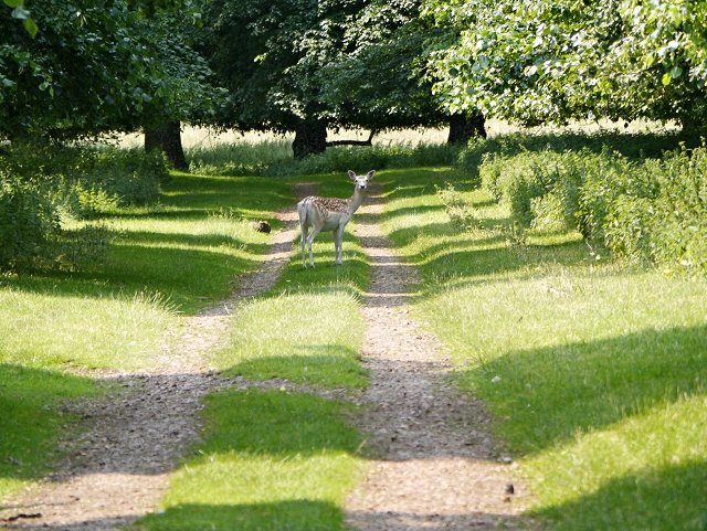 geograph-3598321-by-David-Dixon