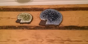 WP_20160203_07_31_53_Pro