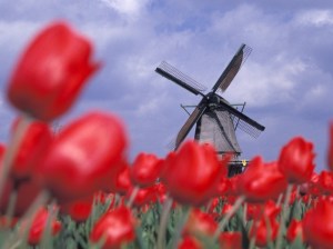 122486445_TulppaanitjaTuulimylly_rf-1024x768