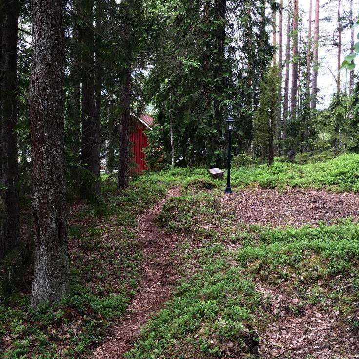 IMG_1317, mökkiloma, mökki, vuokramökki