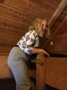 Rosala, viikingit, Viikinkikeskus, päällikön halli, lounas, majoitus