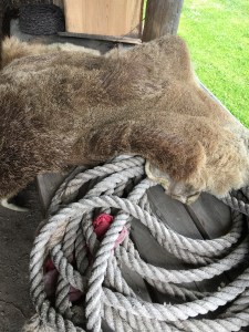 Rosala, viikingit, keskiaika