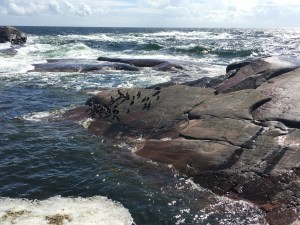 Bengtskär, majakka, meri, Hanko