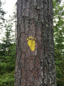 Ähtäri, Ähtäri zoo, Luoman Hirvimökit, mökkiloma, vuokramökki