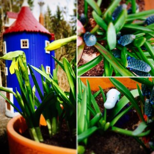 Muumit, Muumimaailma, Hemuli, kasvitutkija