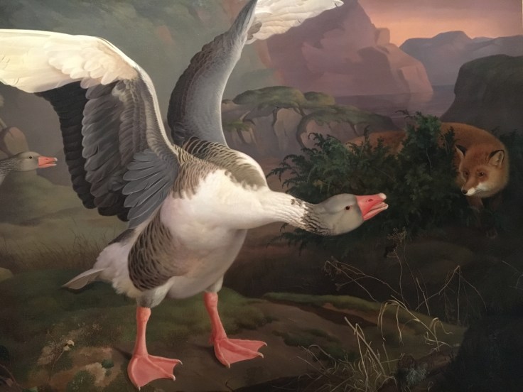 IMG_7220, von Wright, Helsinki, Ateneum