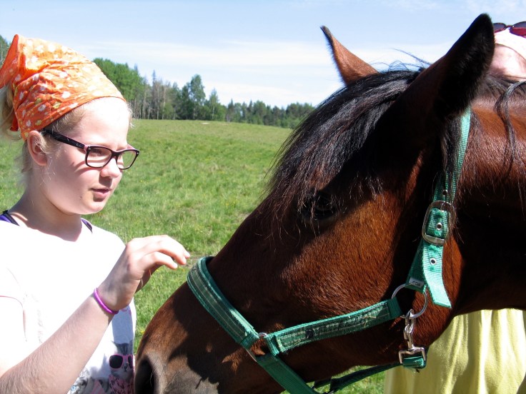 IMG_3276, Jusala, Jusalan tila, hevoset, hevonen, maatilamatkailu