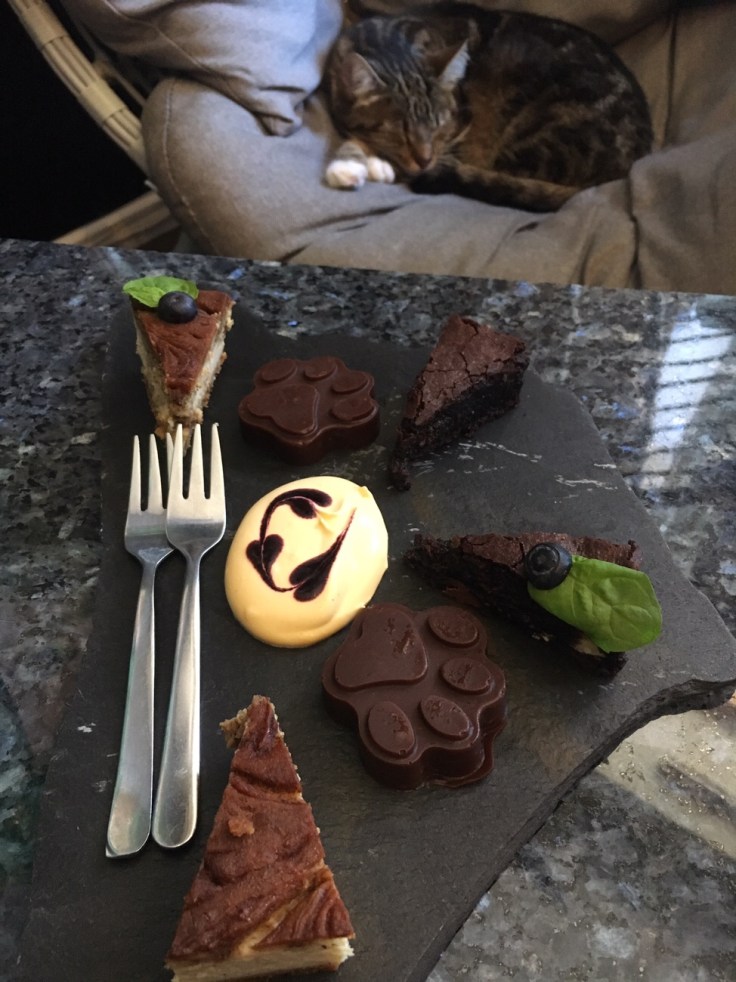 Helkatti, catcafe, Kissakahvila, kissat, Helsinki