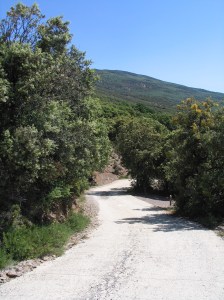 GR-7, E-4, La Taha, Pitres, Sierra Nevada, Cotijo Prado Toro, vaellusreitti, Euroopan pisin, Andalucia GR-7, E-4, Euroopan pisin vaellusreitti, Espanja, Andalucia, Sierra Nevada