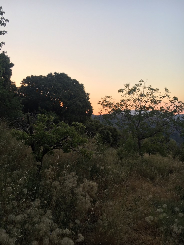 Auringon nousu, vuoristo, La Taha, Sierra Nevada, Andalucia, Espanja, Corijo Prado Toro Auringon nousu, La Taha, Sierra Nevada, Andalucia, Espanja, Corijo Prado Toro
