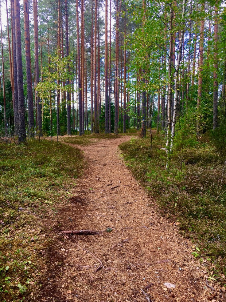 Harju, Iso-Melkutin, metsäretki, Loppi, lasten kanssa