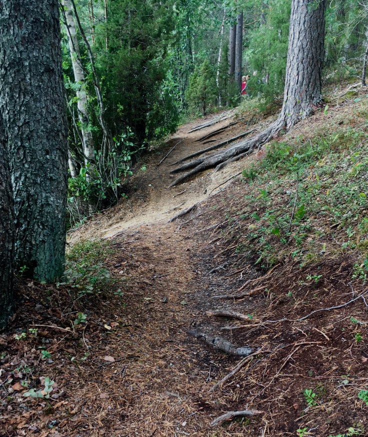 Metsäretki, Iso-Melkutin