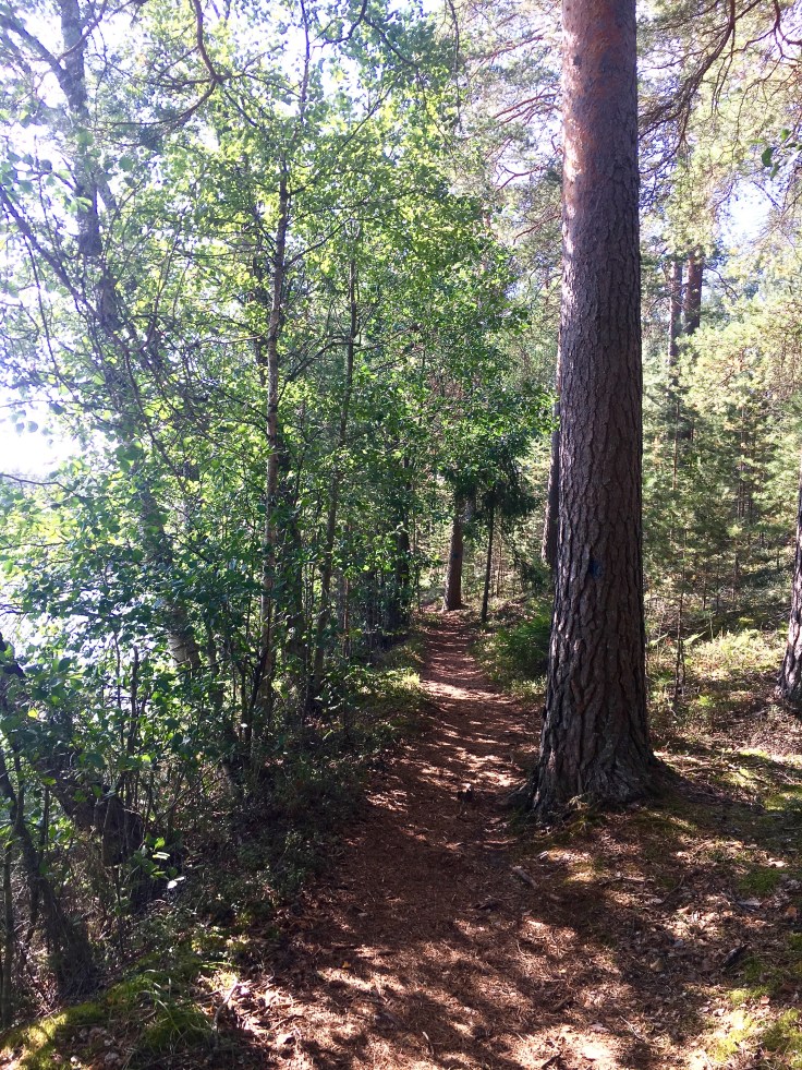 Iso Melkutin, Loppi, metsäretki, luontoonfi