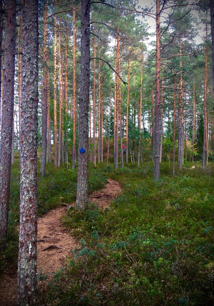 metsä, lapset, Iso-Melkutin, harju