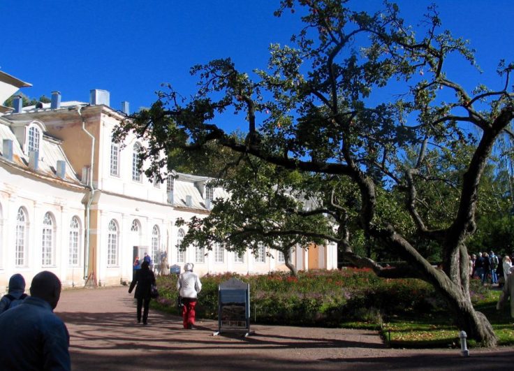 Pietarhovi, Pietari, St Petersburg, Russia, Venäjä