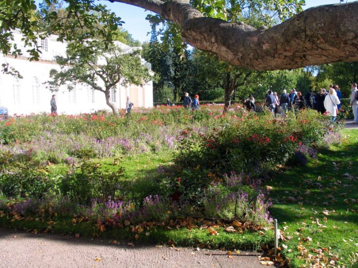 Pietarhovi, Pietari, St Petersburg, Russia, Venäjä