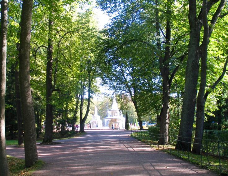 Pietarhovi, suihkulähde, Pietari, St Petersburg, Russia, Venäjä