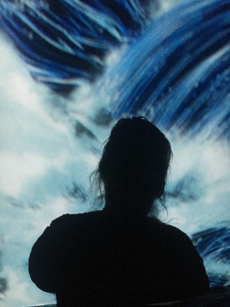 Amos Rex, TeamLab, Helsinki, museot, museokortti