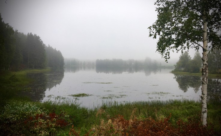 Petäjävesi, Toppalan mökit
