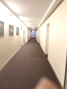 Medical Spa, Narva-Joensuu, Viro, itä-Viro