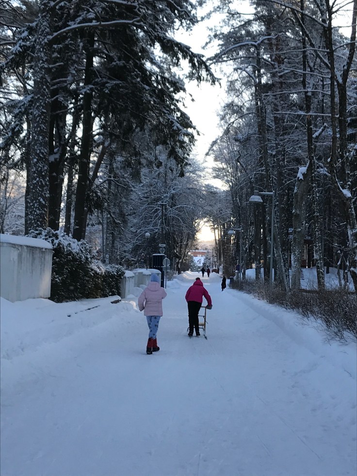 Potkukelkkailua, Narva-Joensuu