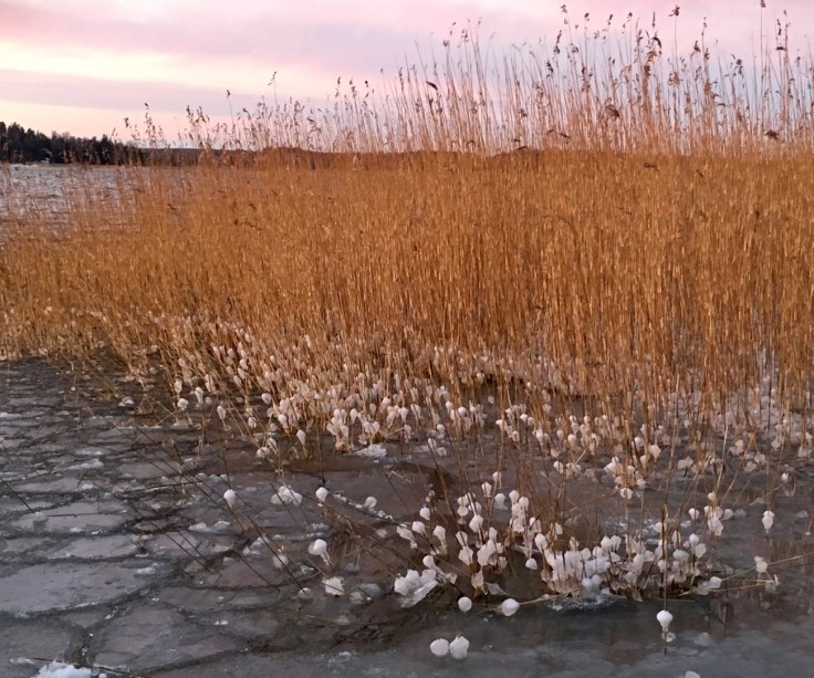 Särkisalo, Ylöstalo, mökkiloma, saaristo, Suomen luonto, kotimaan loma, Visit Salo