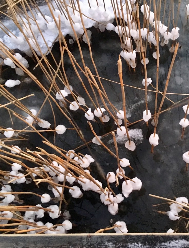 Ylöstalo, Särkisalo, Saaristo, meri, talvi Ylöstalo, Särkisalo, Saaristo, meri, talvi, Visit Salo