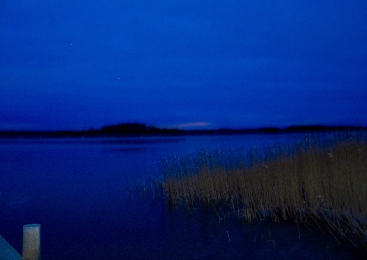 Ylöstalon matkailutila, vist Salo, Särkisalo Ylöstalon matkailutila, vist Salo, Särkisalo, Suomen luonto, sininen hetki, auringon nousu