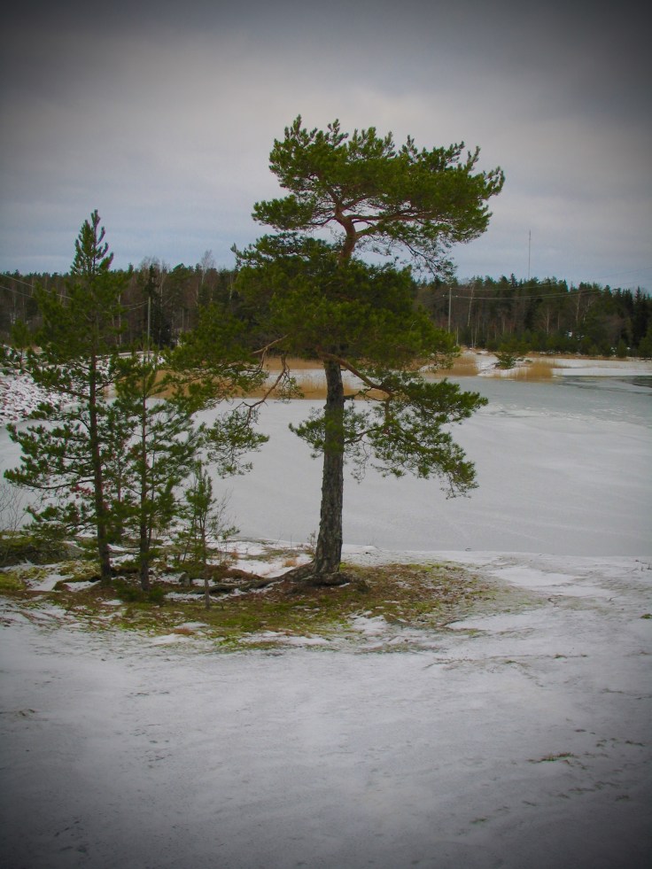 Nixor, Ylöstalo, Visit Salo Nixor, Ylöstalo, Visit Salo, Suomen luonto, merinäköala, talvi, Turku, visit Finland