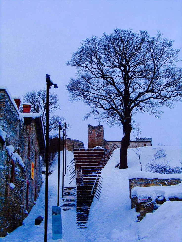 Rakvere, Viro, linna, historia