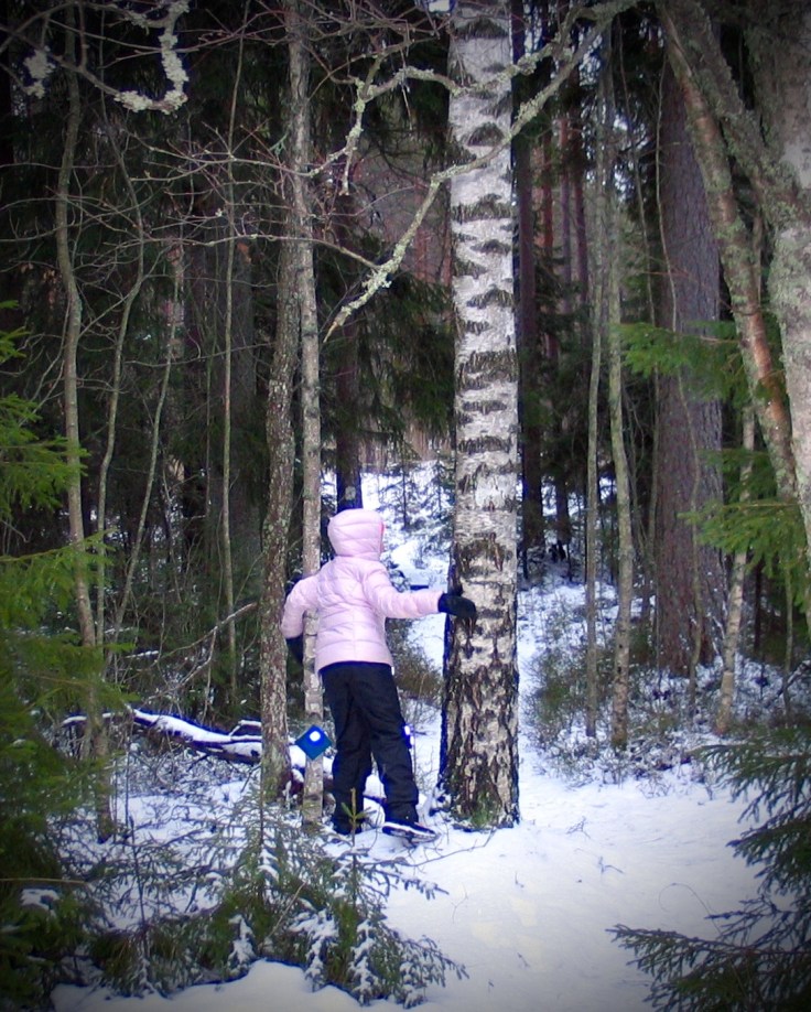 Suomen luonto, metsään, Kansallispuisto, Teijon kansallispuisto, visit Salo