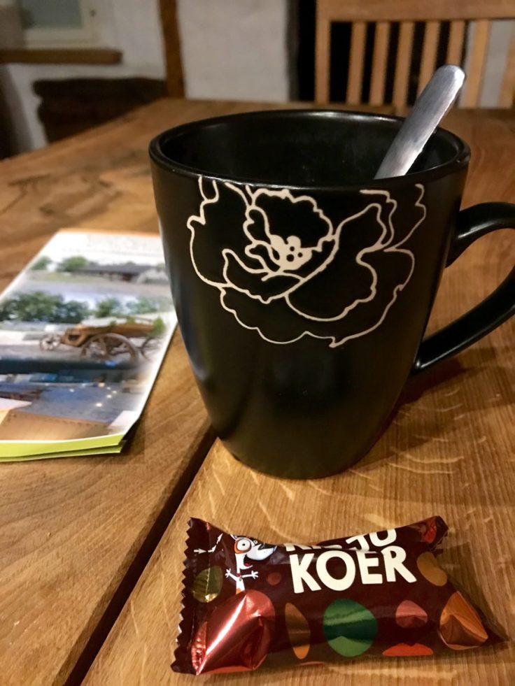 Rakvere, Reinhold apartments, majoitus Viro