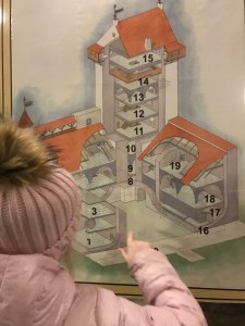 Narvan linna, Viro, Hermannin linna