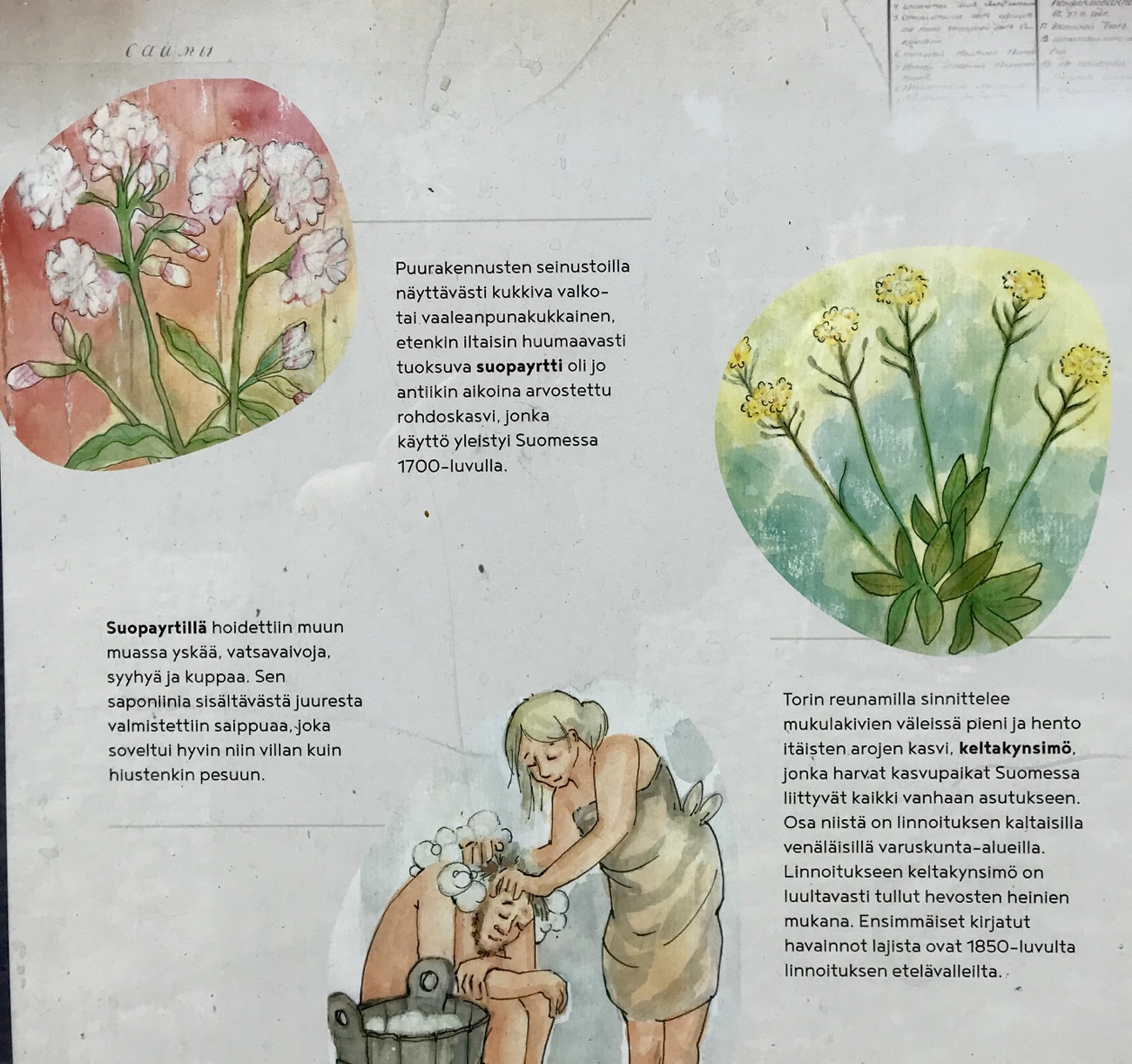 Lappeenranta, linnoitus, kulttuuri- ja luontopolku, opastaulu