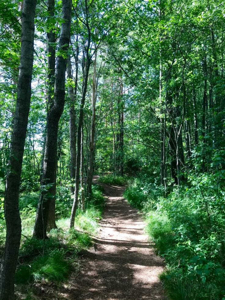 Liesjärven kansallispuisto 