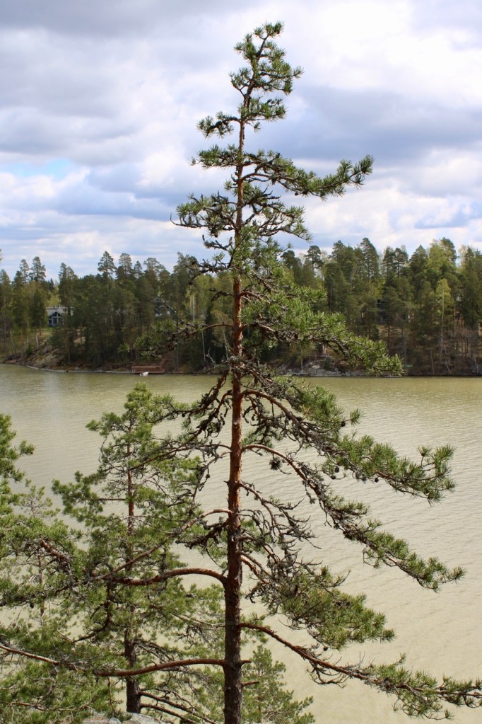Kansallismaisema, Tuusulanjärvi, Sarvikallio