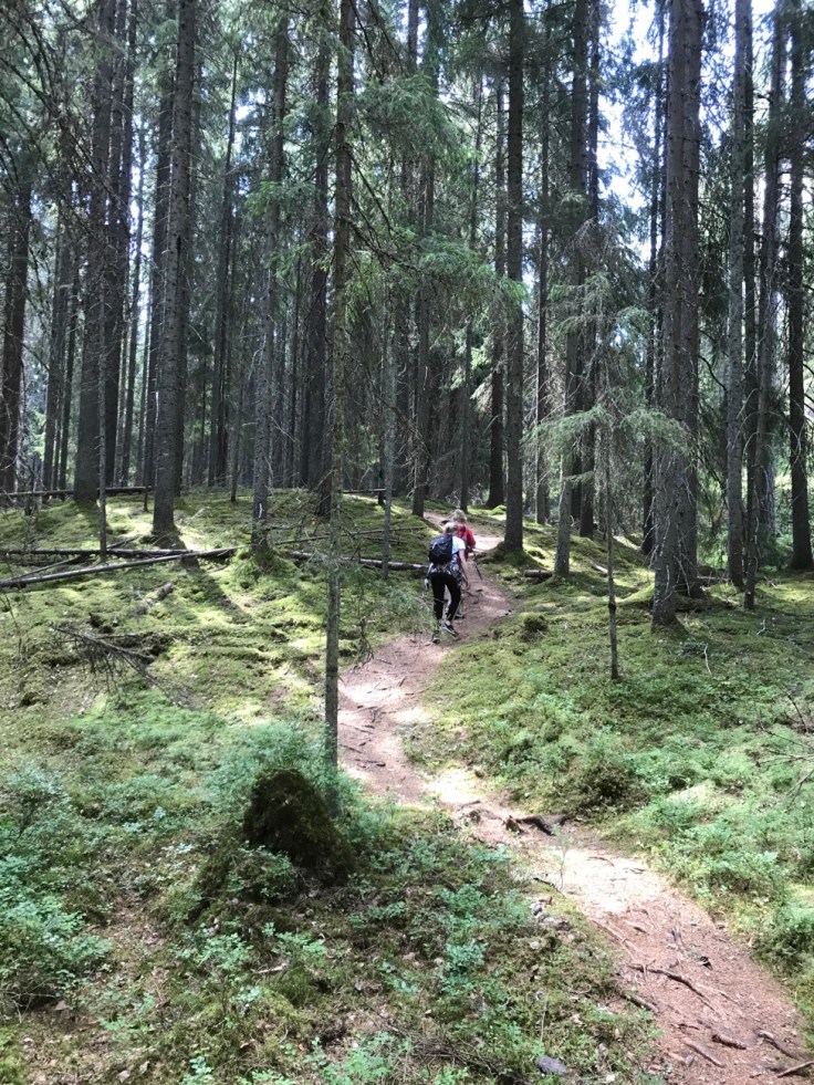 Liesjärvi, Liesjärven kansallispuisto, retkellä lasten kanssa