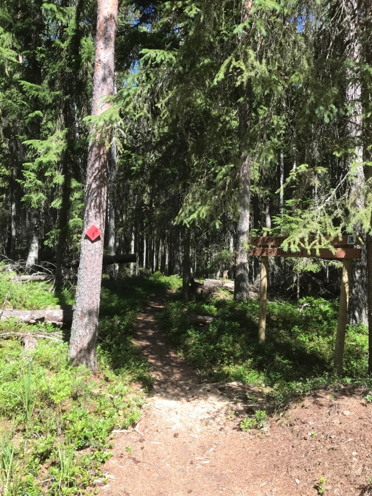 Liesjärven kansallispuisto, Punatulkku