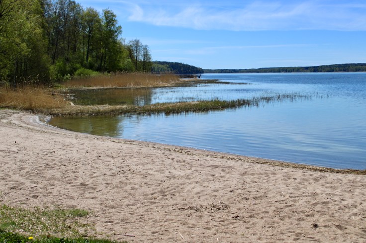 4639847705015940537_IMG_0392