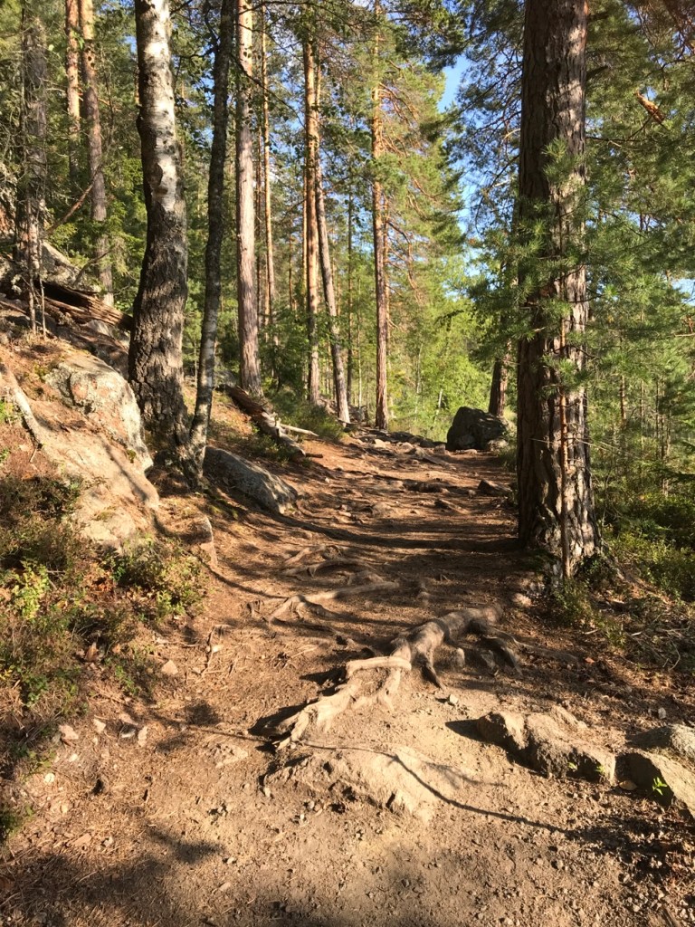 Repovesi, Ketunlenkki