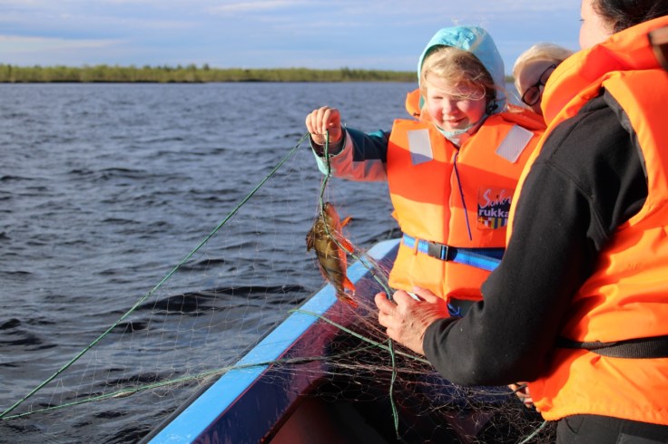 Ahven, verkoilla, Aksujärvi, Giellajohka, Lappi