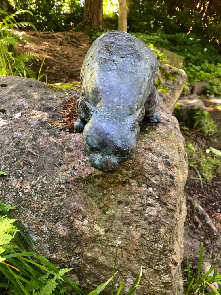 Sapokan vesipuisto, kissapatsas, Kotka