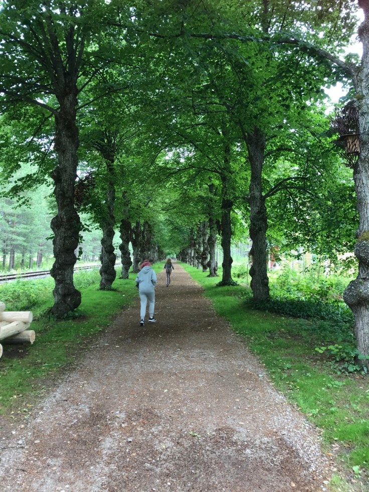 Asema Taidepysäkki, Punkaharju, Visit Savonlinna, lehmuskuja, lomalla kotimaassa, Suomi