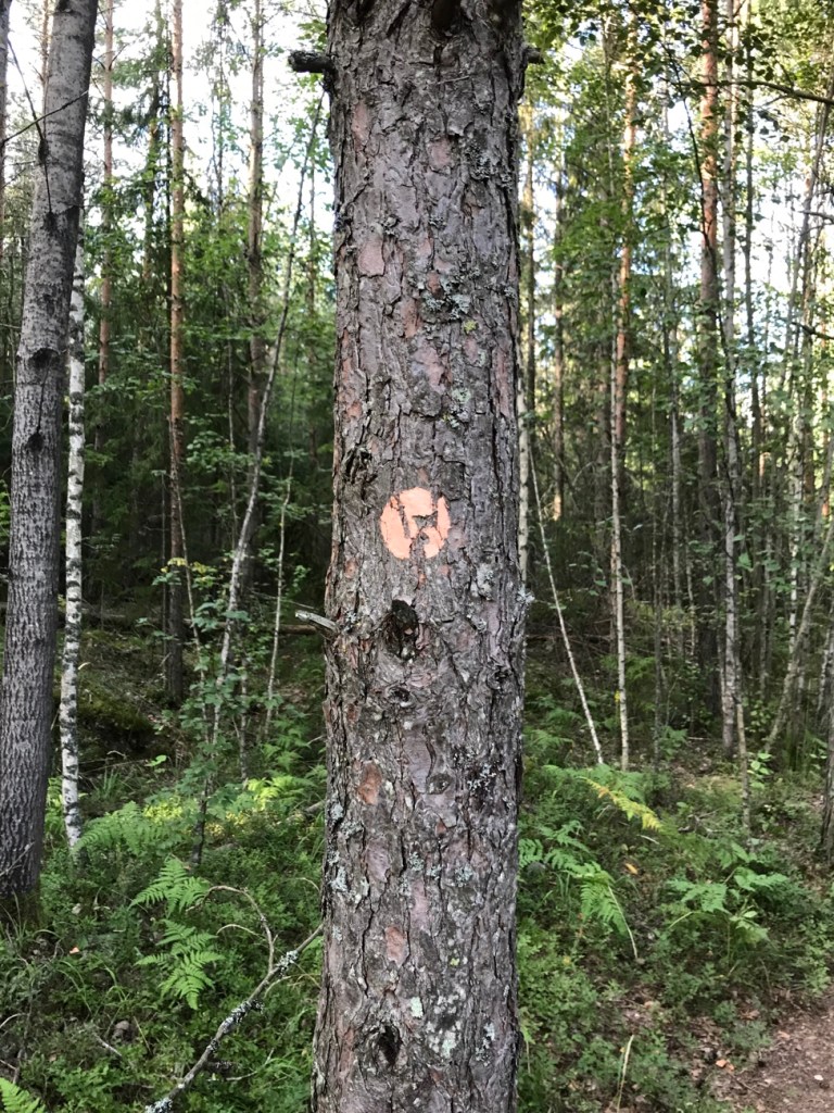 Repoveden kansallispuisto, merkityt reitit, kansallispuisto, Suomen luonto