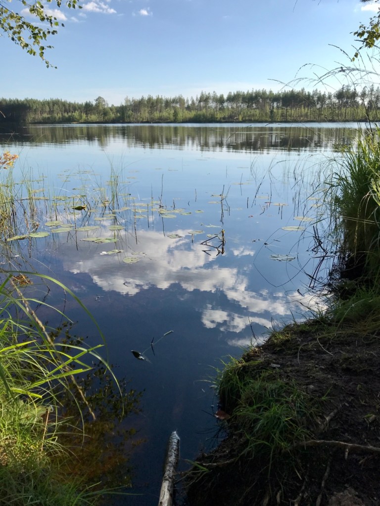 Repoveden kansallispuisto, Kapiavesi