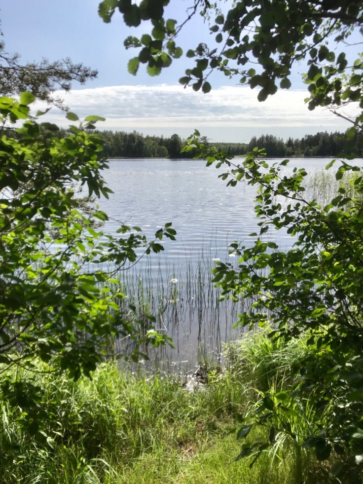 Liesjärven kansallispuisto 