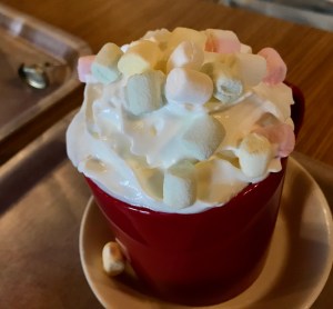 Kaakao, Kahvila Karinranta, Lahti