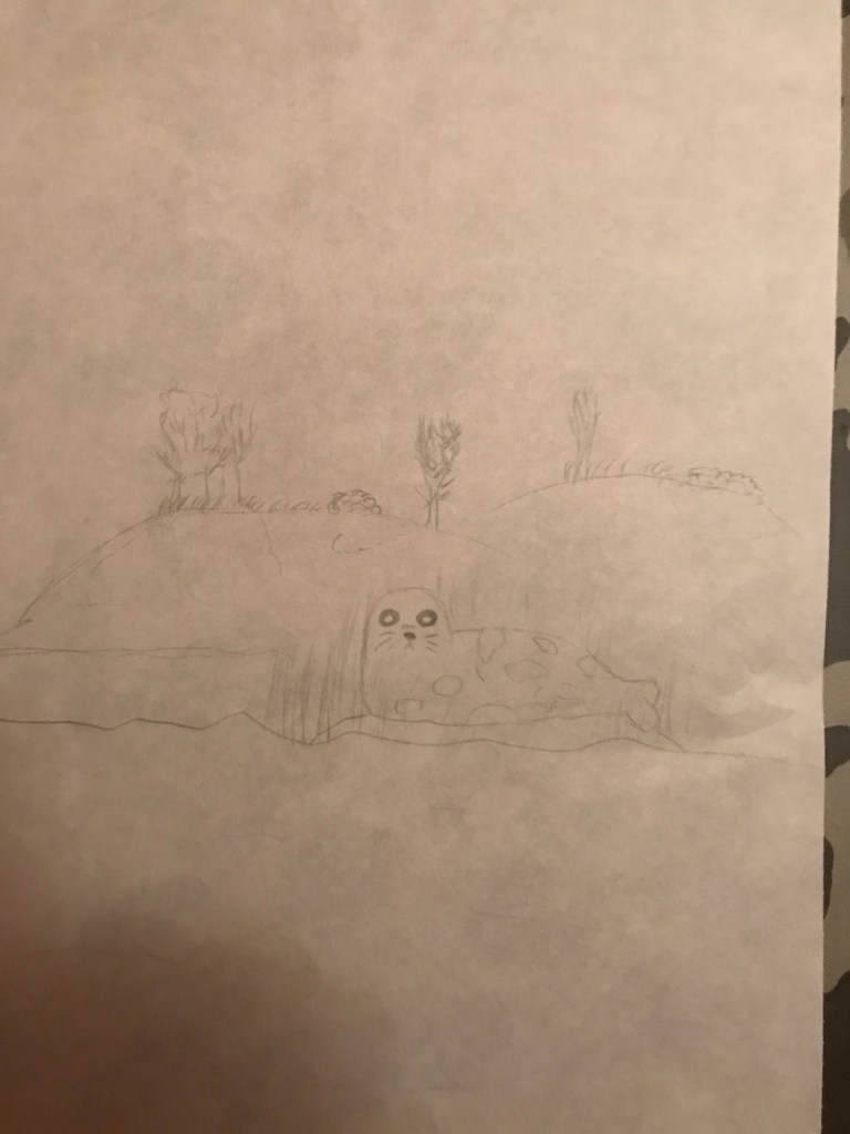 Saimaannorppa, norppa, Saimaa, suloinen